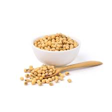 Premium Brazilian Soybean