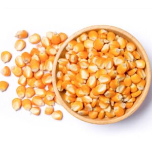 Premium Brazilian Corn